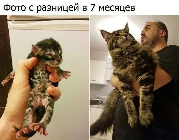 Фото с разницей в 7 месяцев