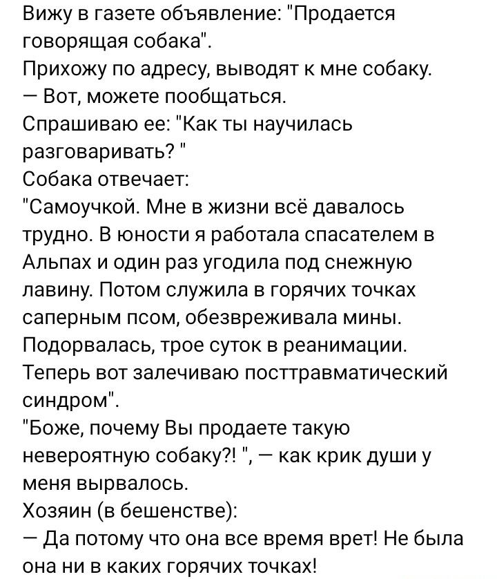 Вижу в газете обьявление Продается говорящая собака Прихожу по адресу выводят к мне собаку Вот можете пообщаться Спрашиваю ее Как ты научилась разговаривать Собака отвечает Самоучкой Мне в жизни всё давалось трудно В юности я работала спасателем в Альпах и один раз угодила под снежную лавину Потом служила в горячих точках саперным псом обезвреживала мины Подорвалась трое суток в реанимации Теперь 