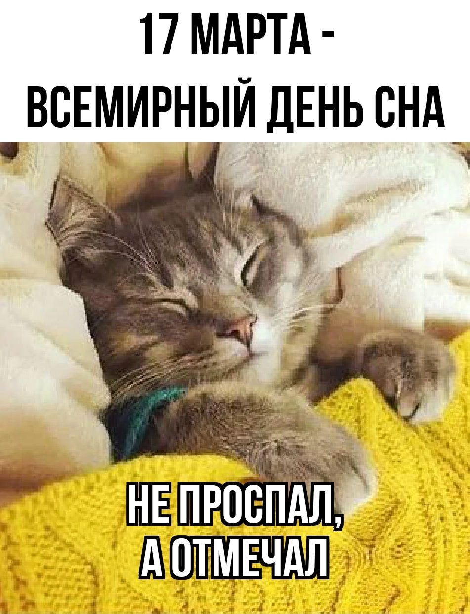 17 МАРТА всЕмирныйдЕньснд _ отмЕлчд