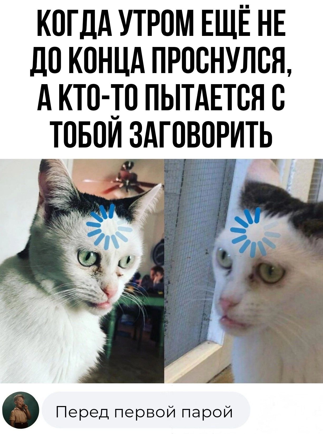 КОГДА УТРПМ ЕЩЁ НЕ ЛП КОНЦА ПРОБНУЛВЯ А КТП ПЫТАЕТВЯ С ТПБОИ ЗАГОВПРИТЬ Перед первой парой