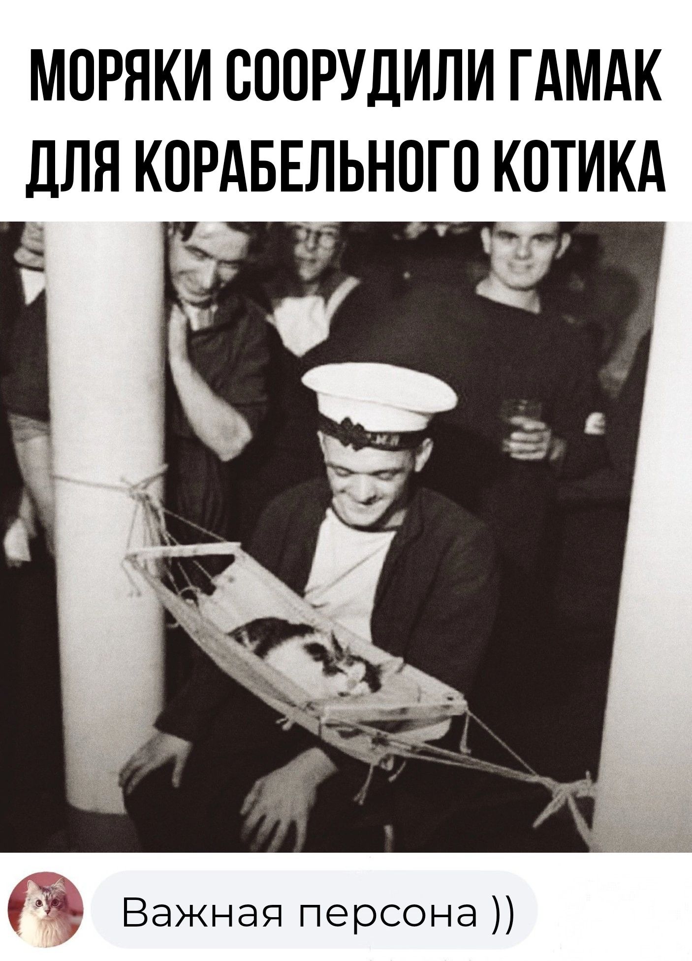 МПРЯКИ СПОРУДИЛИ ГАМАК ДЛЯ КПРАБЕЛЬНПГО КПТИКА Ги Важная персона