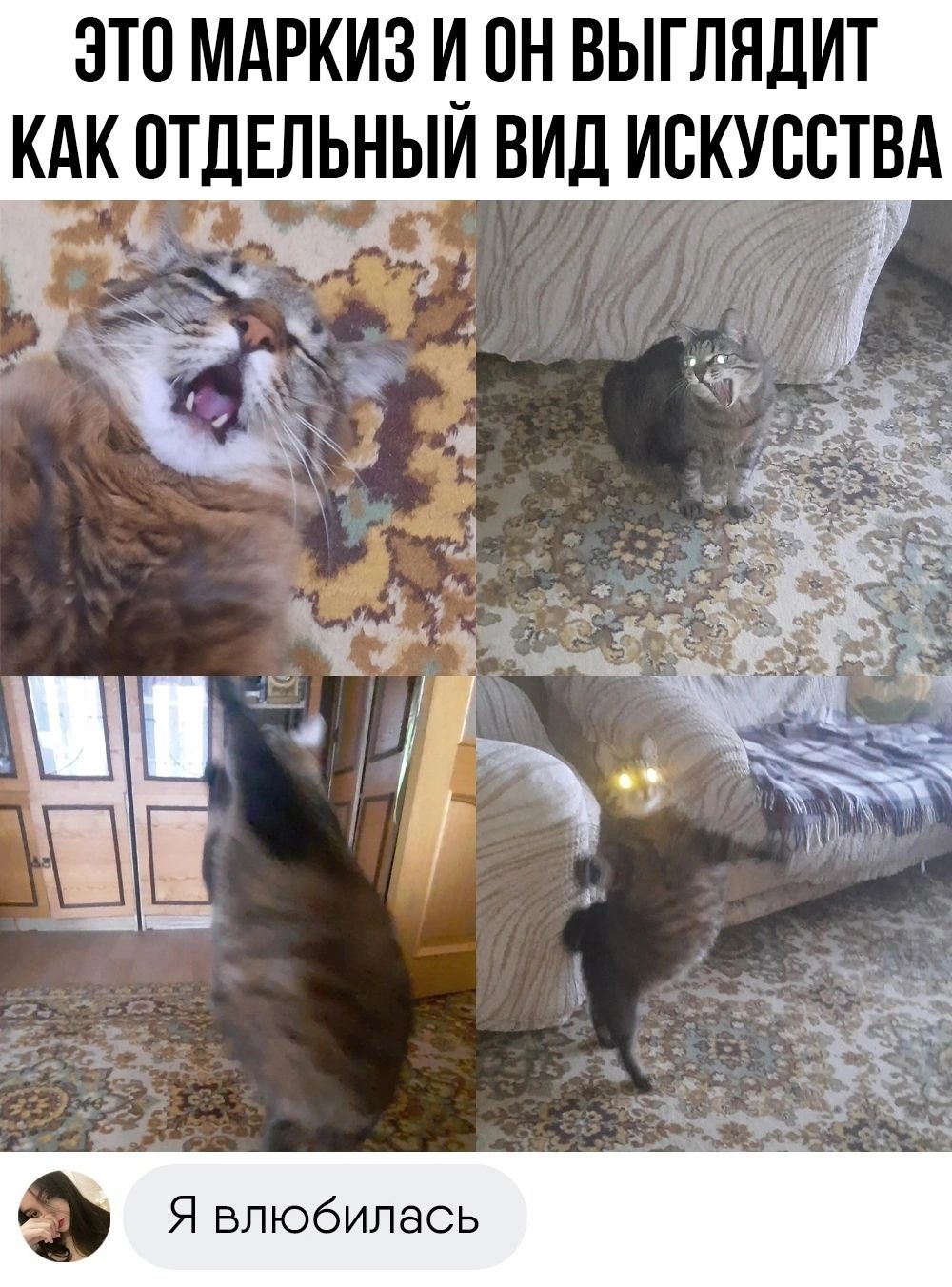 ЭТО МАРКИЗ И ОН ВЫГЛНДИТ КАК ОТДЕЛЬНЫЙ ВИД ИСКУССТВА