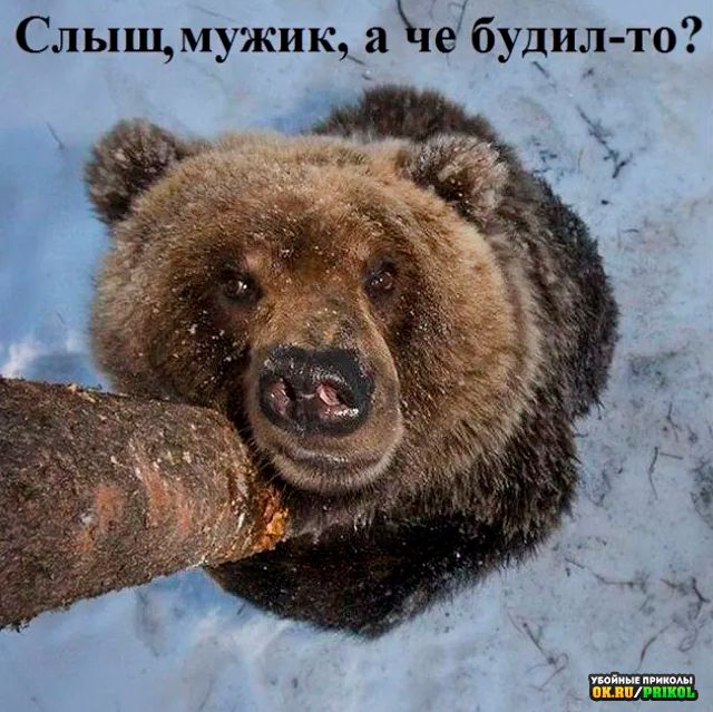 Слыш мужик юібудил то