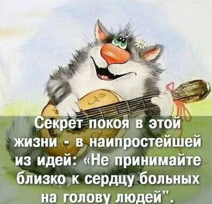 1 екрет покоя в этои жизни в наипростейшей из идей Не принимайте близко к сердцу больных _ на ГОДОВ лю_еи