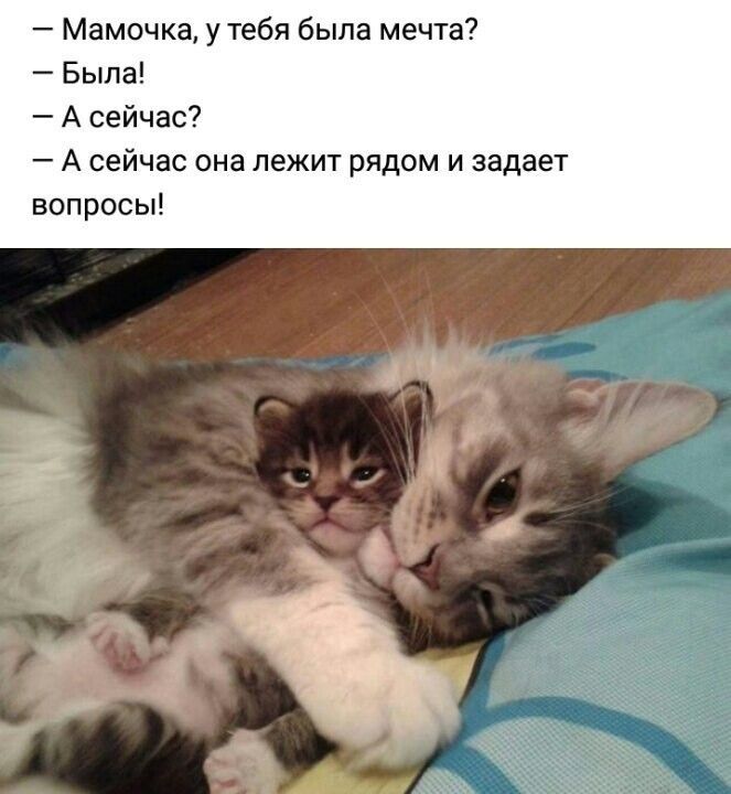 Мамочка у тебя была мечта Была А сейчас А сейчас она лежит рядом и задает вопросы