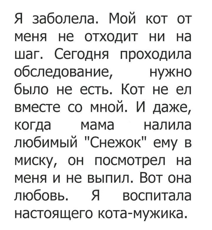 Я заболела Мой кот от меня не отходит ни на шаг Сегодня проходила обследование нужно было не есть Кот не ел вмесге со мной И даже когда мама налила любимый Снежок ему в миску он посмотрел на меня и не выпил Вот она любовь Я воспитала насгоящего котамужика
