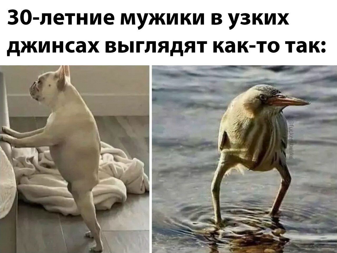 30 летиие мужики в узких джинсах выглядят как то так