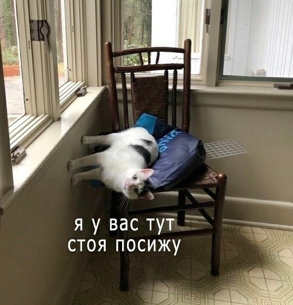 я у вас тут стоя посижу Ё дім