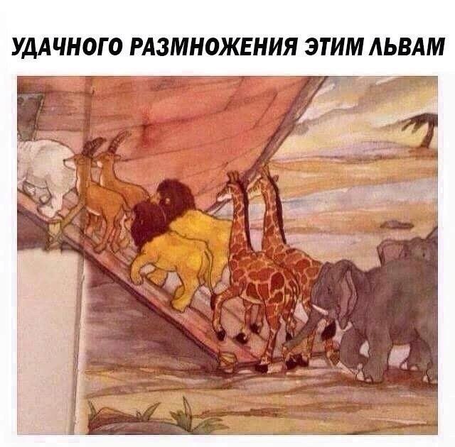 УДАЧНОГО РАЗМНОЖЕНИЯ ЭТИМ АЬВАМ