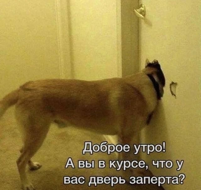 вь курсе что у вас дверь заперта