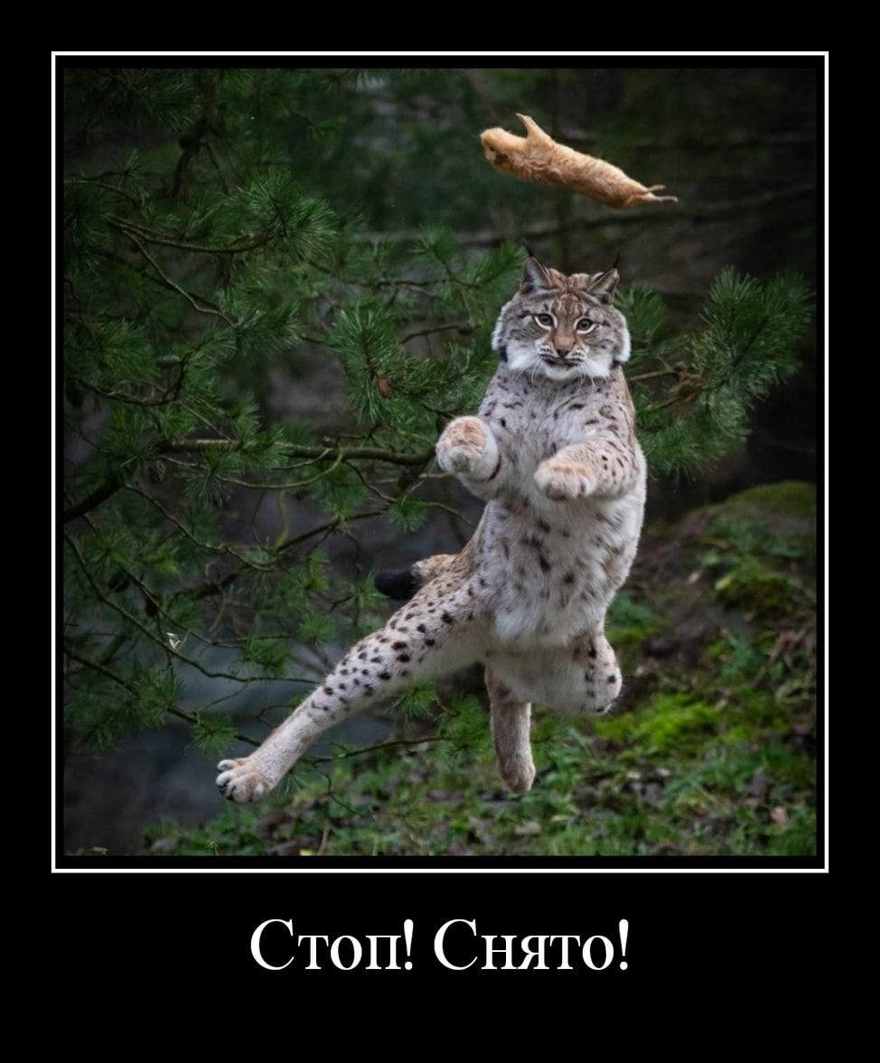 Стоп Снято