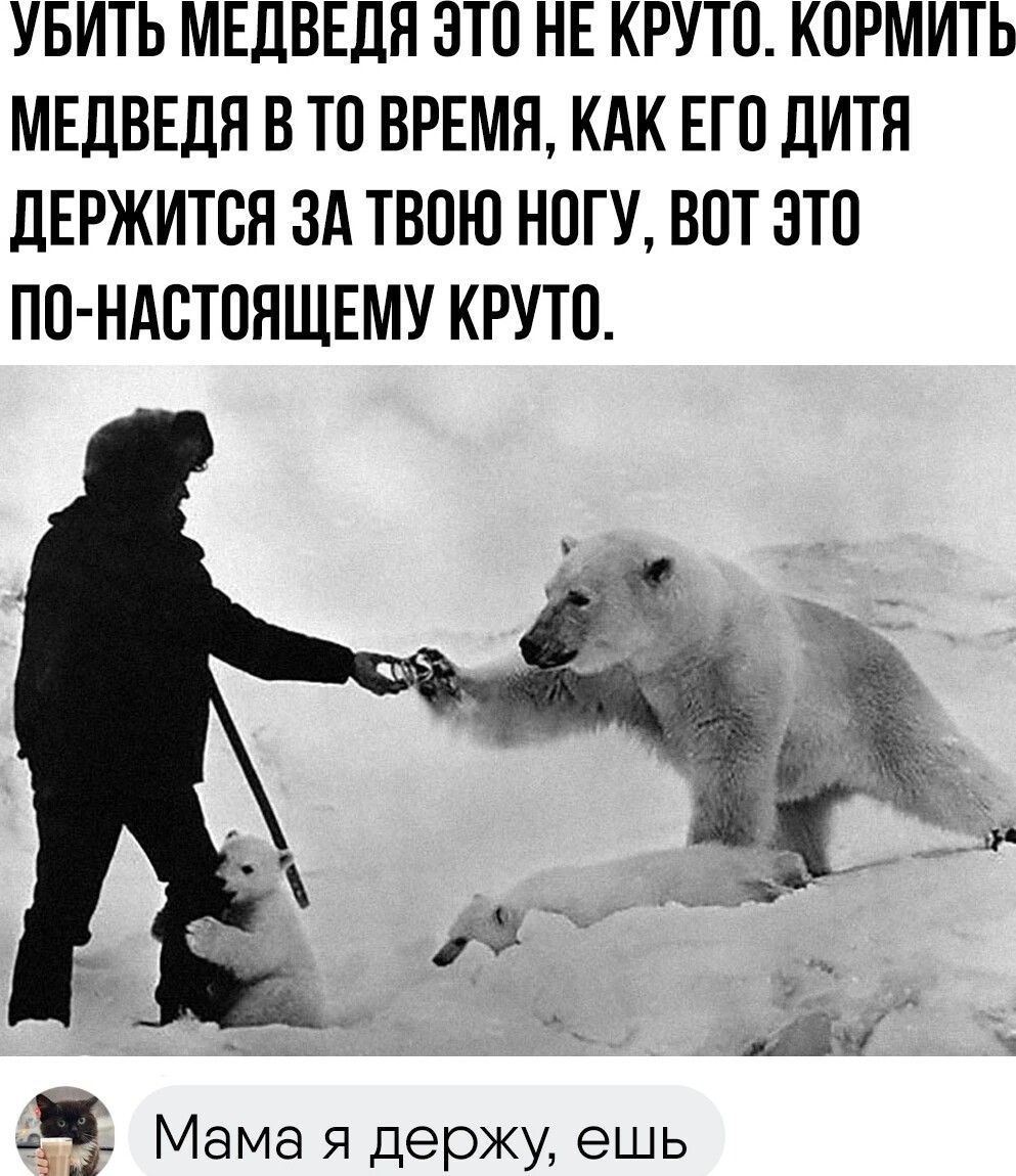 УБИТЬ МЕДВЕДЯ ЭТО НЕ КРУТО КПРМИТЬ МЕДВЕДЯ В ТП ВРЕМЯ КАК ЕГП ДИТЯ ДЕРЖИТБЯ ЗА ТВОЮ НОГУ ВОТ ЗТП ПП НАСТОЯЩЕМУ КРУТП 3 Мама я держу ешь