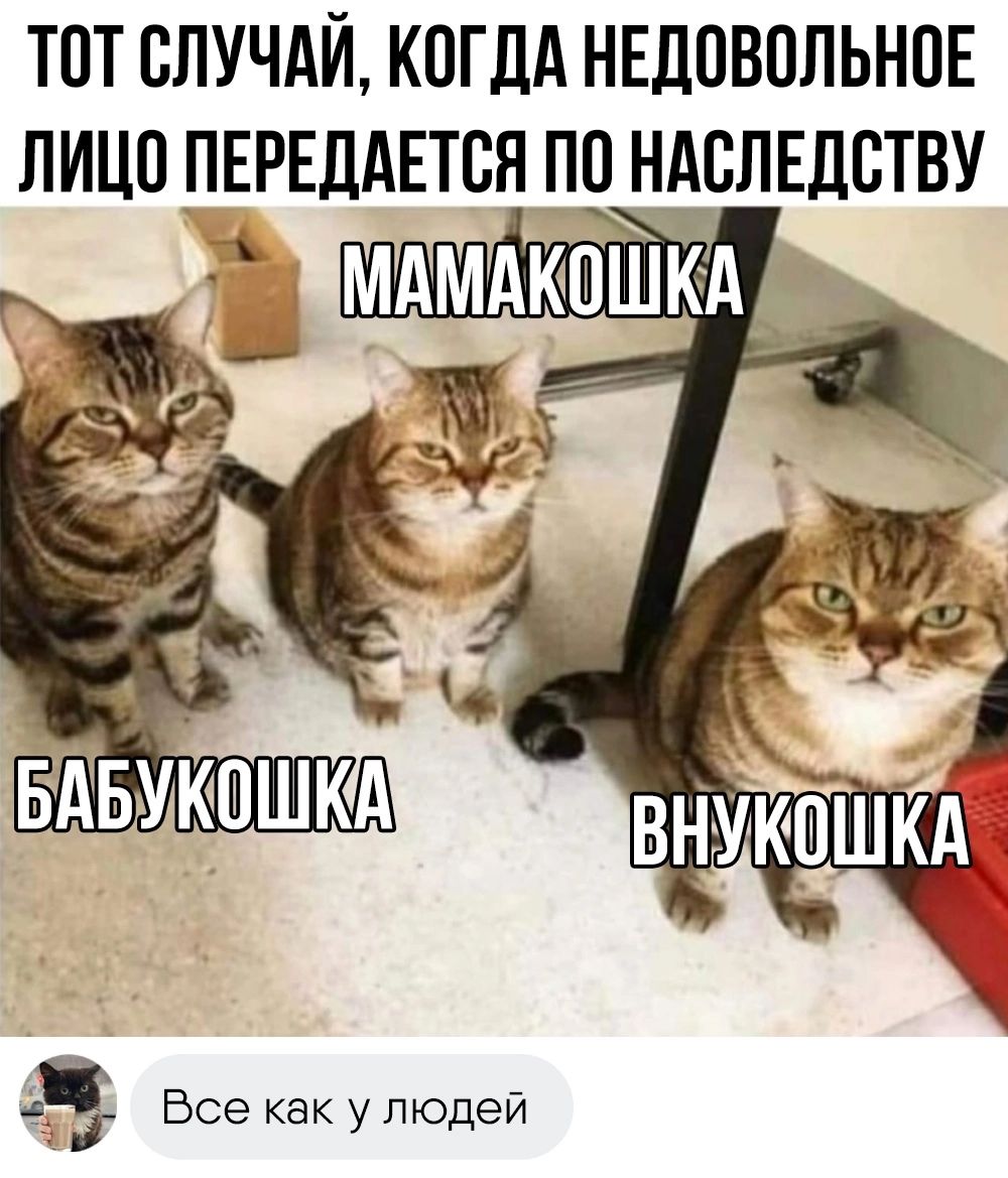 ТПТ СЛУЧАЙ КОГДА НЕДПВПЛЬНОЕ ЛИЦП ПЕРЕДАЕТСН ПП НАСЛЕДСТВУ 43 Все как у людей