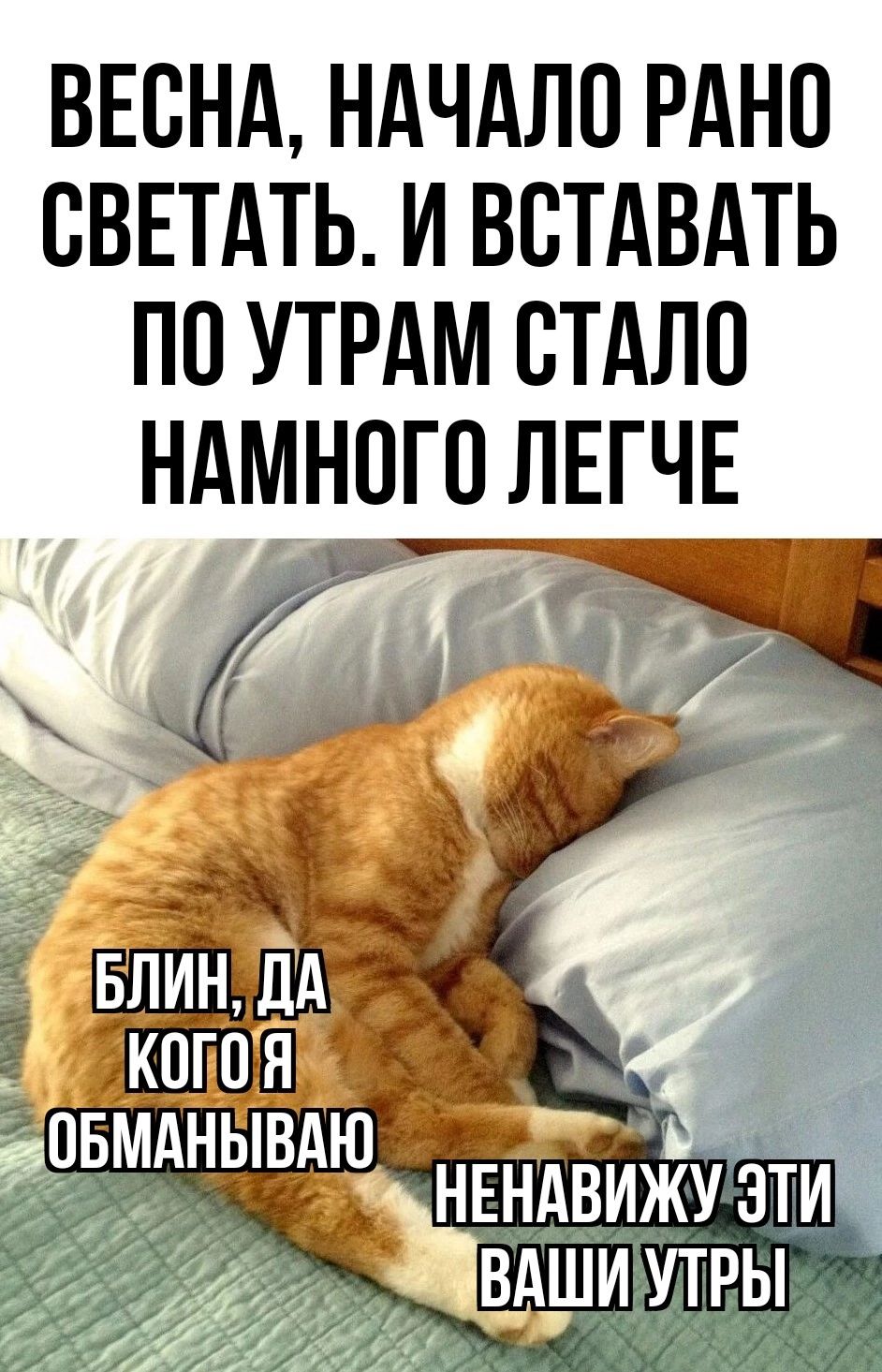 ВЕОНА НАЧАЛО РАНО ОВЕТАТЬ И ВОТАВАТЬ ПО УТРАМ ОТАЛО НАМНОГО ЛЕГЧЕ