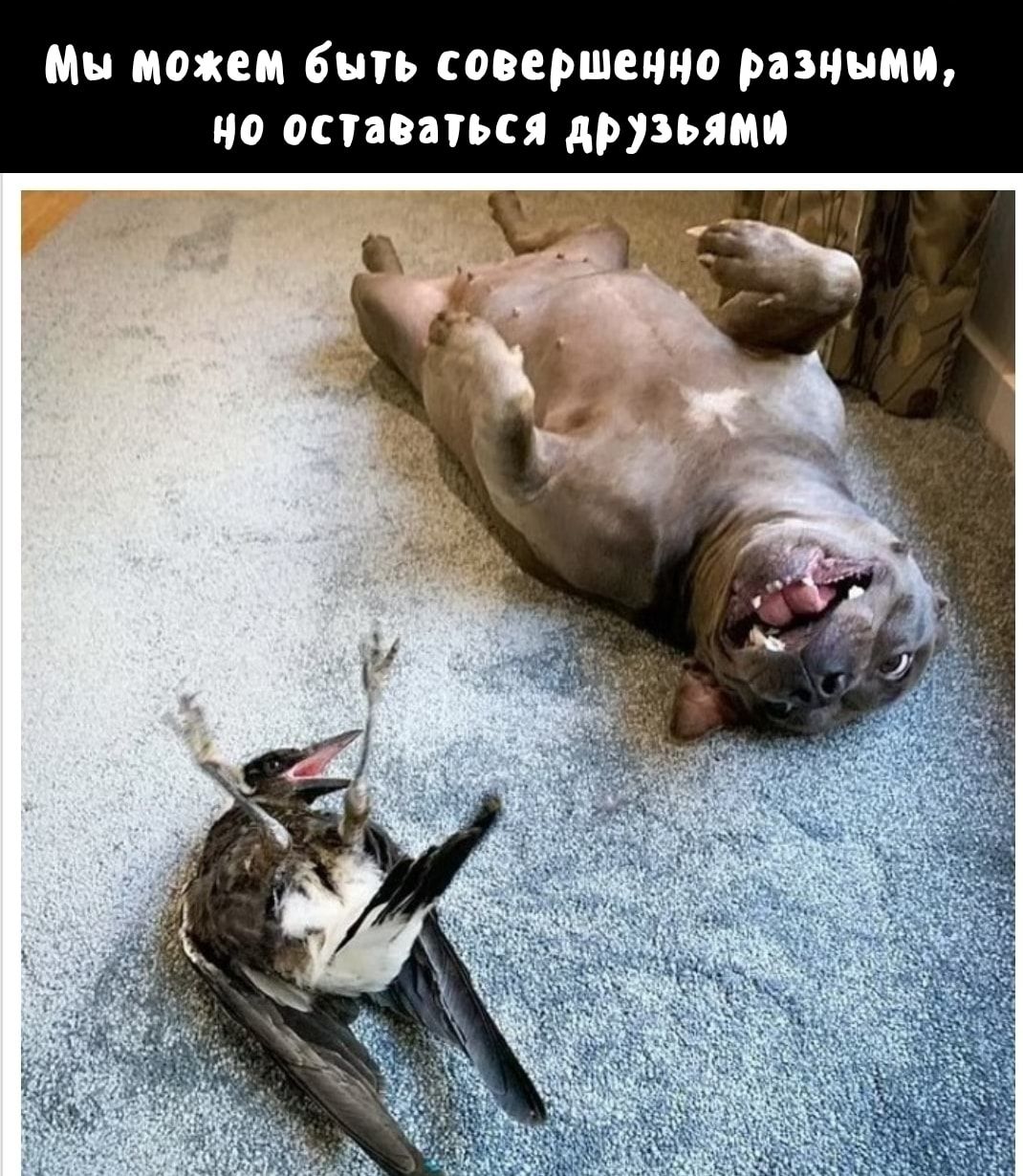 Ми дожем быть совершенно рязани но опппьц друзьями