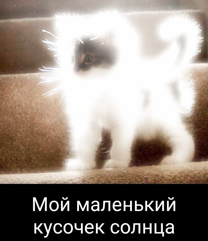 Мой маленький кусочек солнца