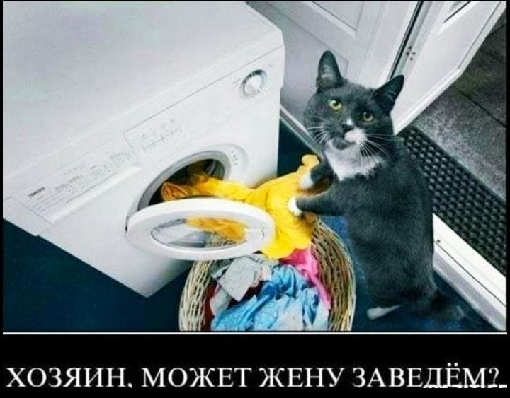 ХОЗЯИН М ЕТ ЖЕНУ ЗАВЕДЕМЗ