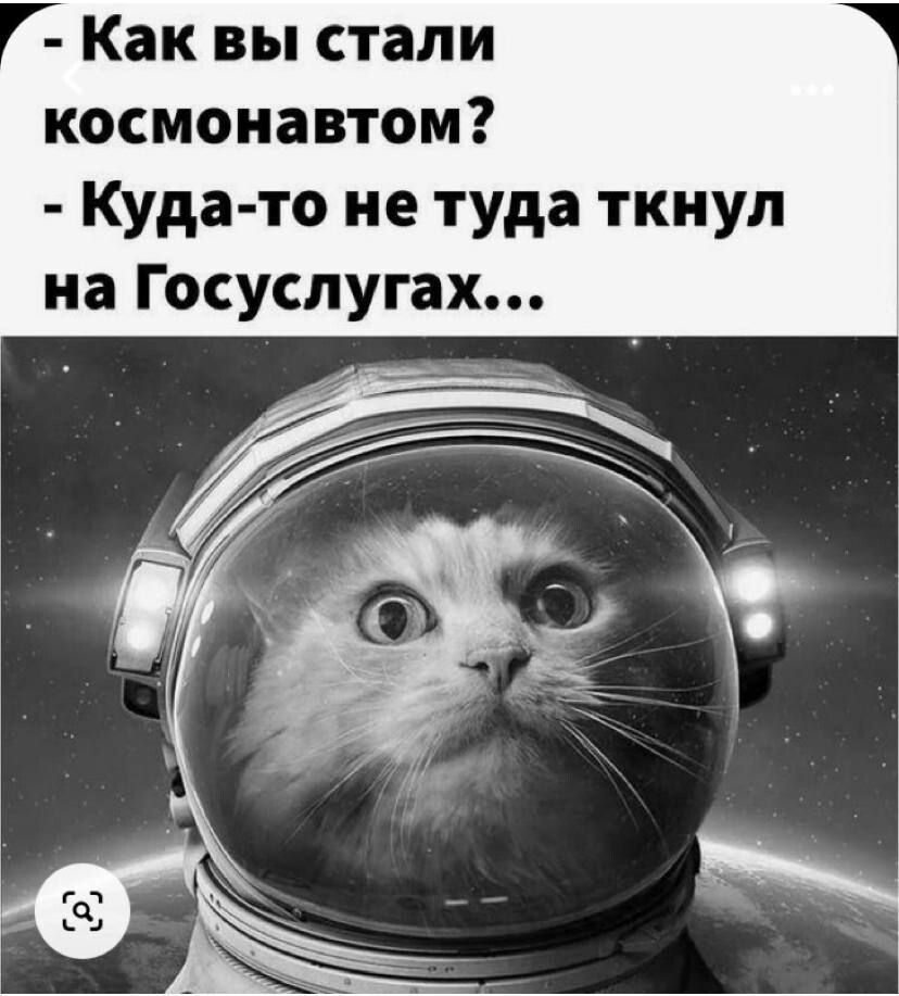 Как вы стали космонавтом Куда то не туда ткнул на Госуслугах