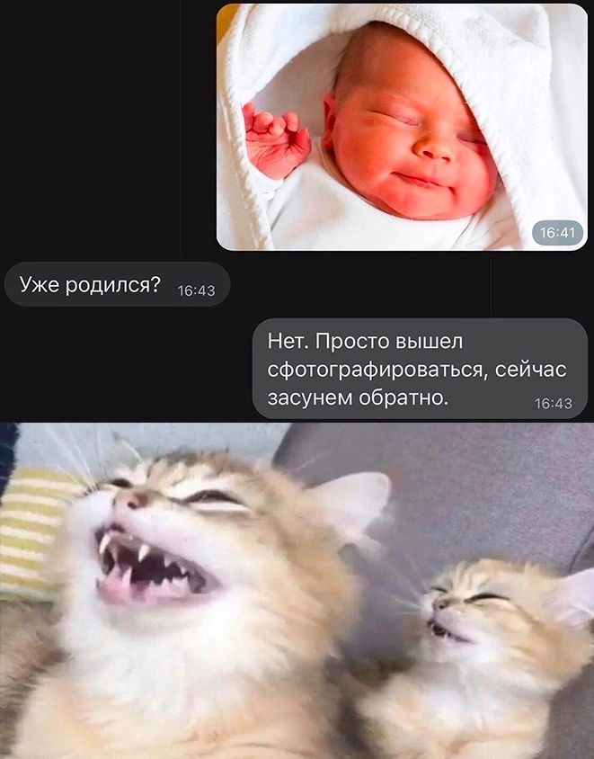 Уже родился Нет Просто вышел сфотографированы сейчас засунем обратно