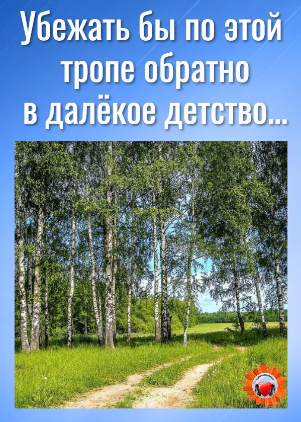 Убежать бы по этой тропе обра пт в далёо Детство