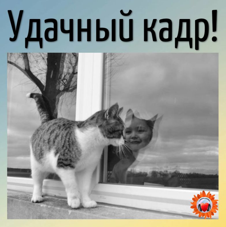 Удачный кадр