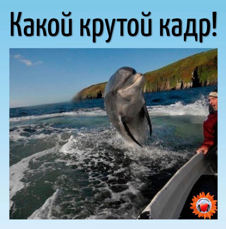 Какой крутой кадр