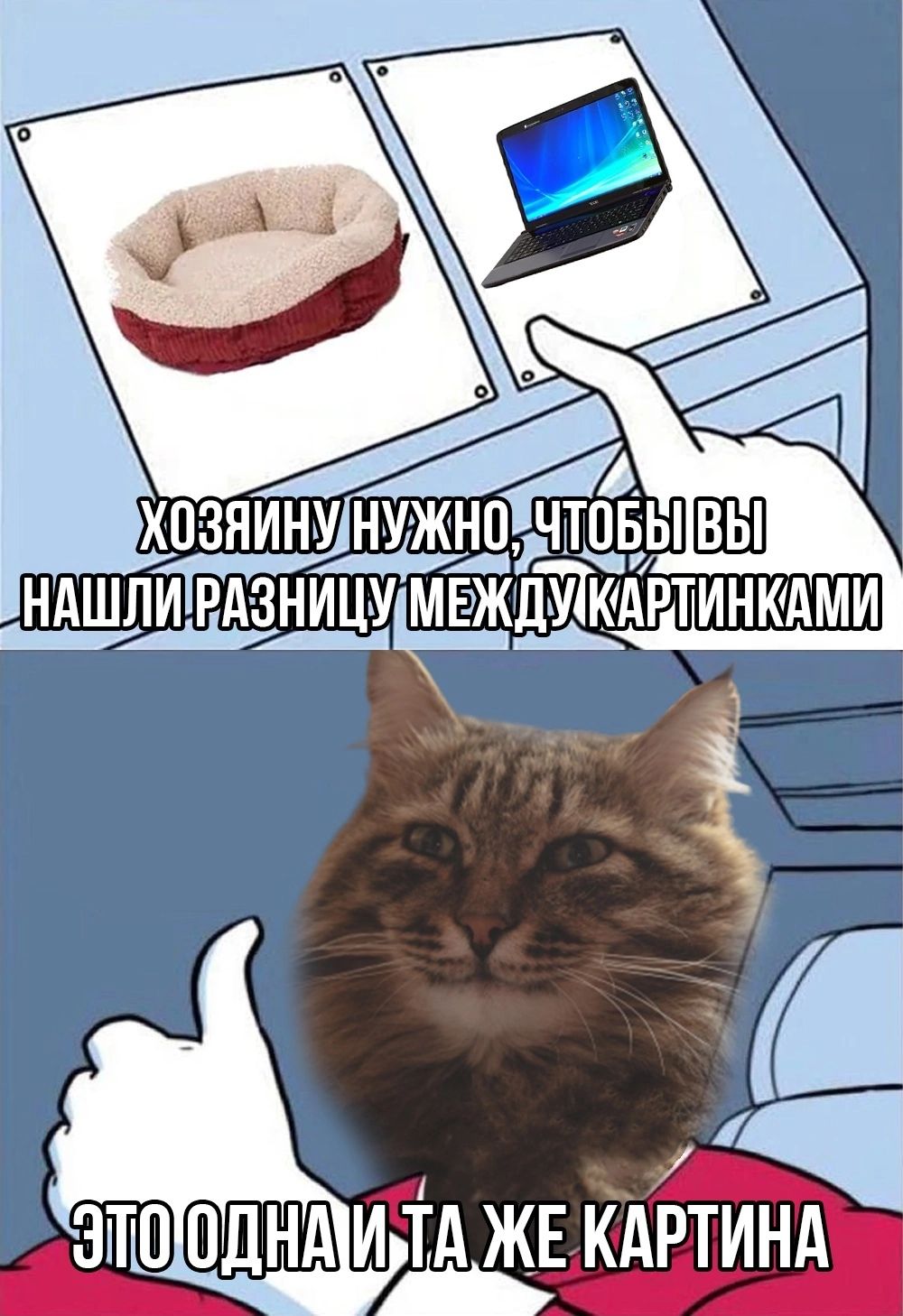 Что ужно. У нормального человека 2 кошки.