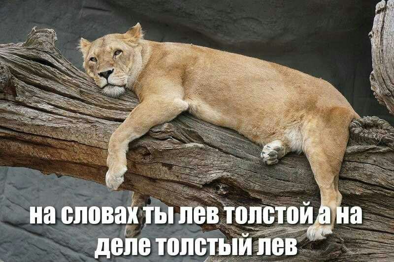 на сливай ты твтвпстпй и деле толстый ЛЕВ