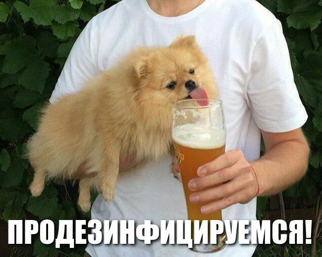 ізшшшз