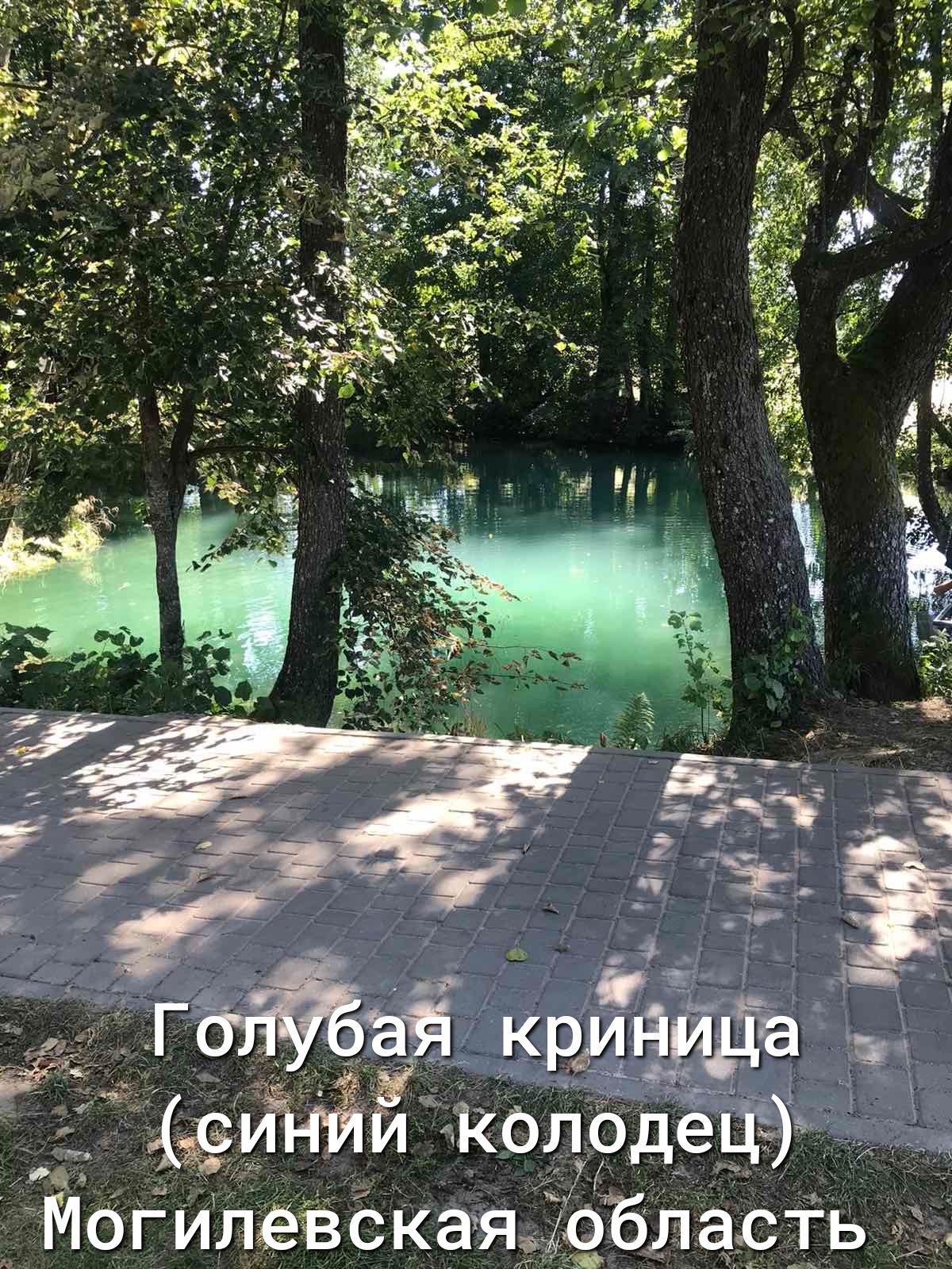 Р ЙоіилеВСКаядёбларі ь
