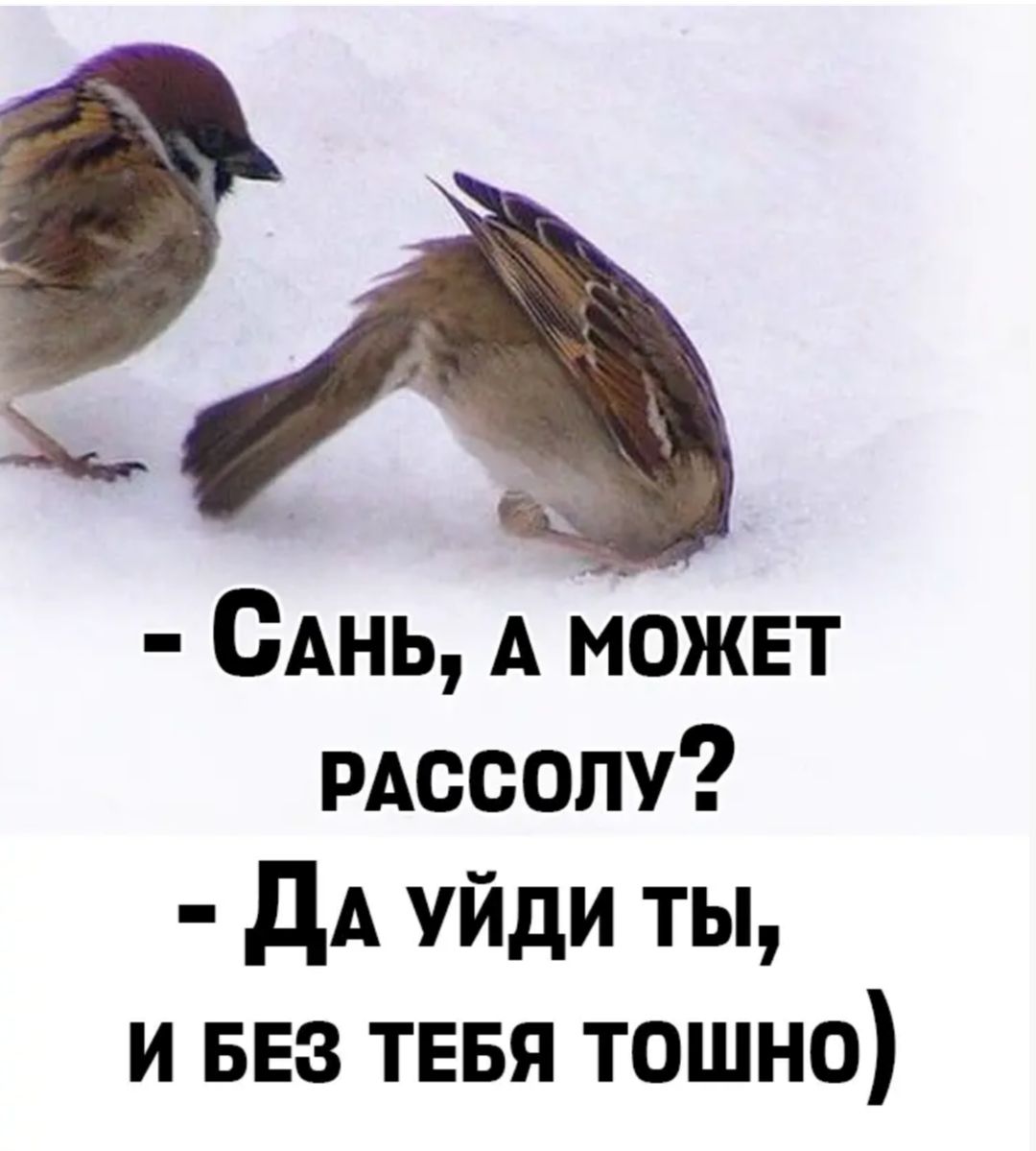 ОАнь А можнт рдссопу дА уйди ты и 553 тввя тошно