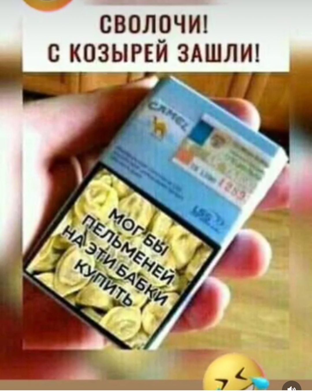 СВОЛРЧИ С К03_ЫРЕИ ЗАШЛИ1