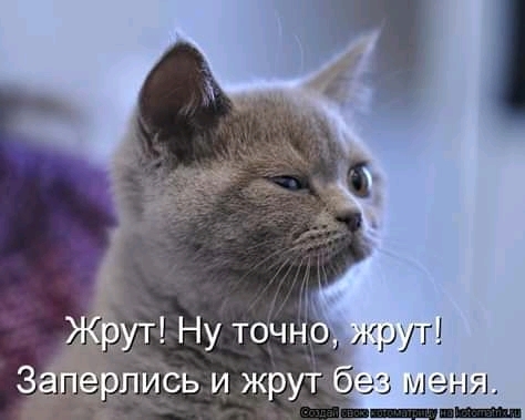 ашагли ь и жру змегш