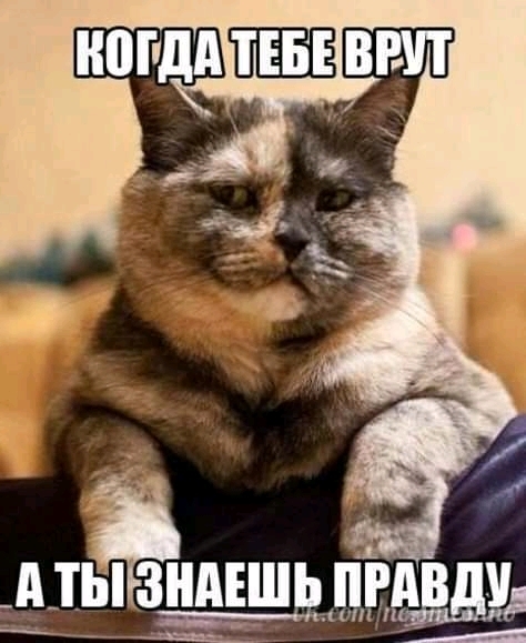 іты зниъшддгд 4