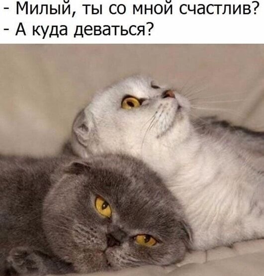 Милый ты со мной счасглив А куда деваться