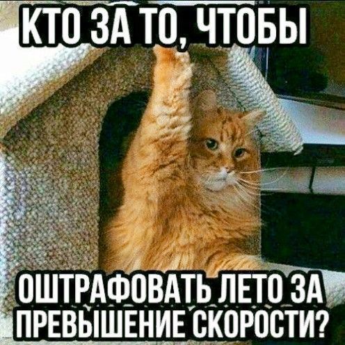 пштРАФовдтьлвтдэТд ПРЕвБШЕНИЕ скоростиг