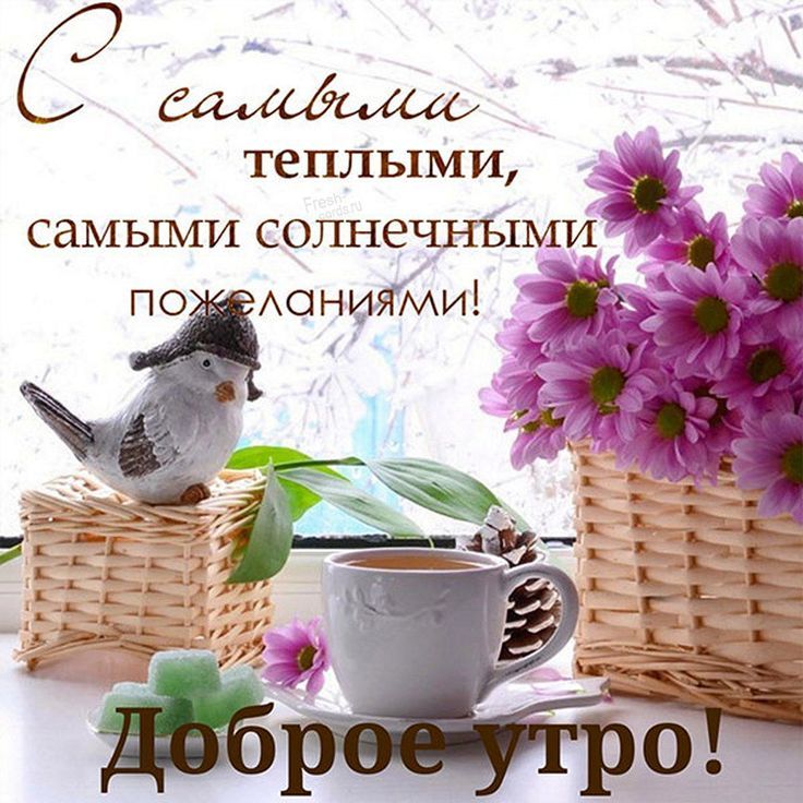 С _д ТЕПЛЬ1МИ