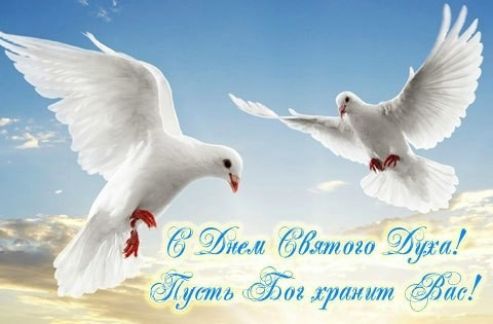 ОЛ или 66 млмхо Ш А Душт Гт итти Эд