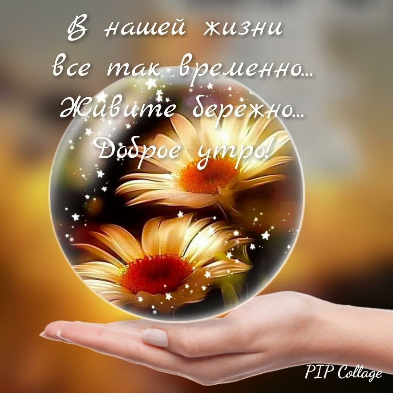 м 4 У 31 55