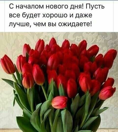 С началом нового дня Пусть все будет хорошо и даже лучше чем вы ожидаете