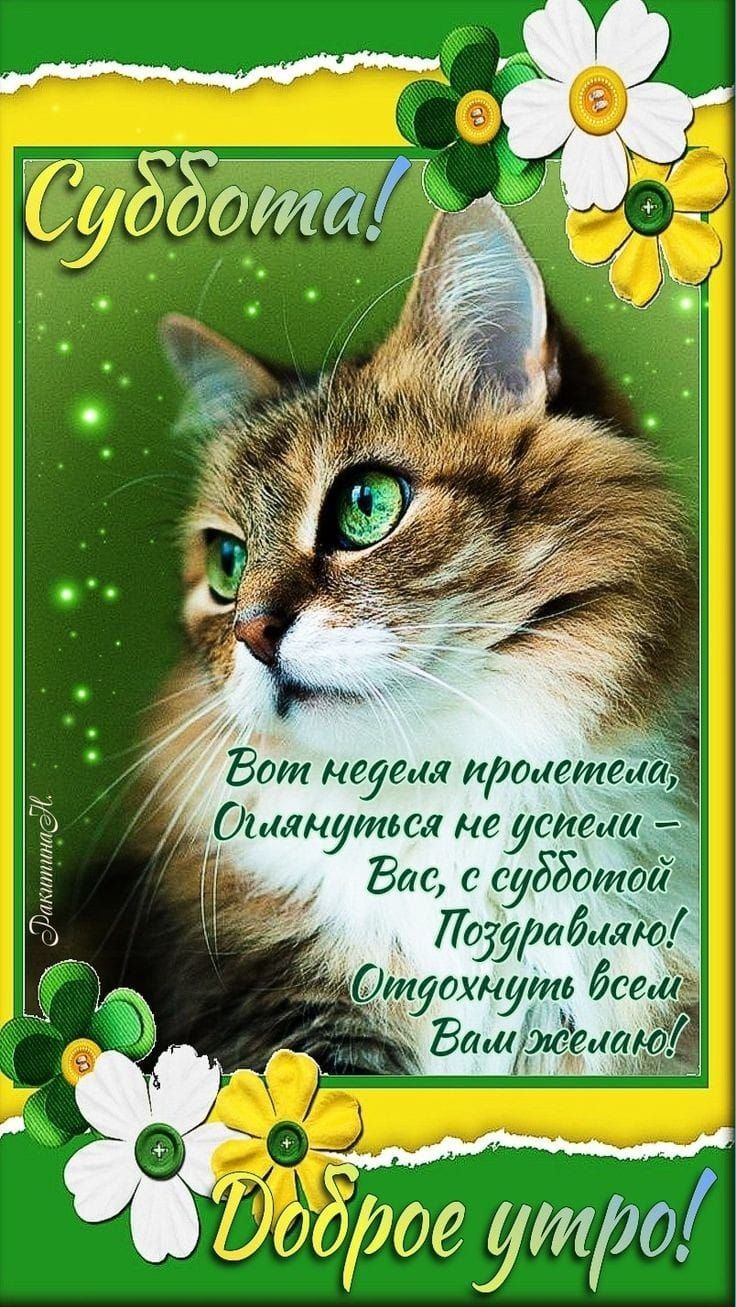 Отакутел ушат Вас суббота дтбжіо 0 уоунуіт дети Ваш тёщу 3