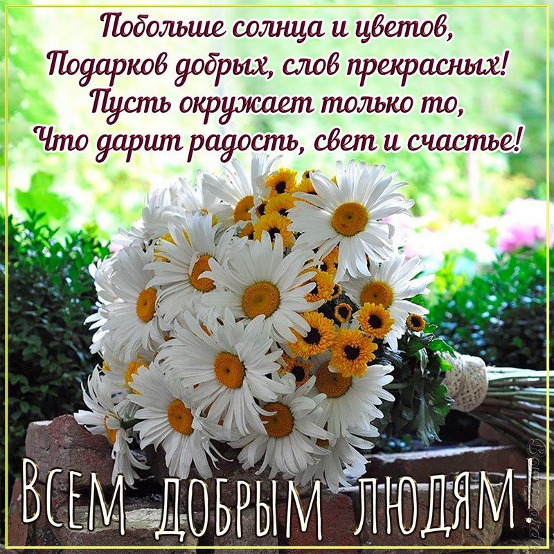 Пабольш солнца и цбетдб Поулркоб добрых слаб прекрасных Пусть окружает пшлько то уарщприуддпь едет и счаспъе