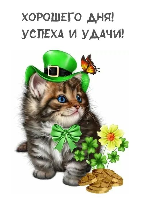 хорошгго Анн УСПЕХА и УААЧИ