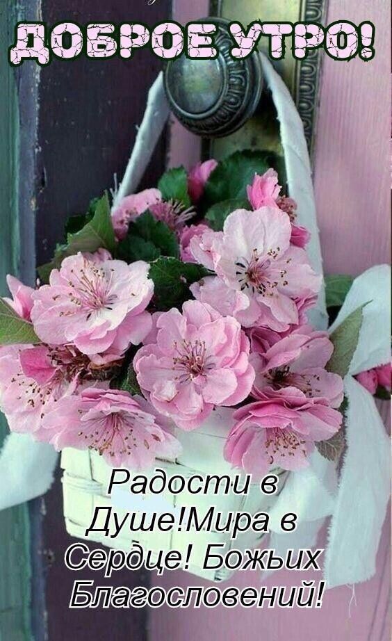 Радости ё ДушеМирг в 1 Сердце Божьих Благжпбвений