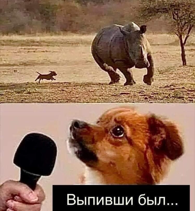 Выпивши был