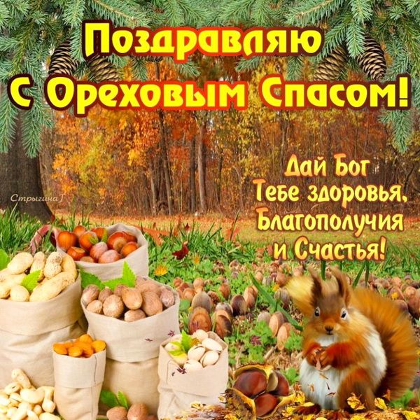 _ шйБотё ево здоровьа одцтподучия _ и меньш