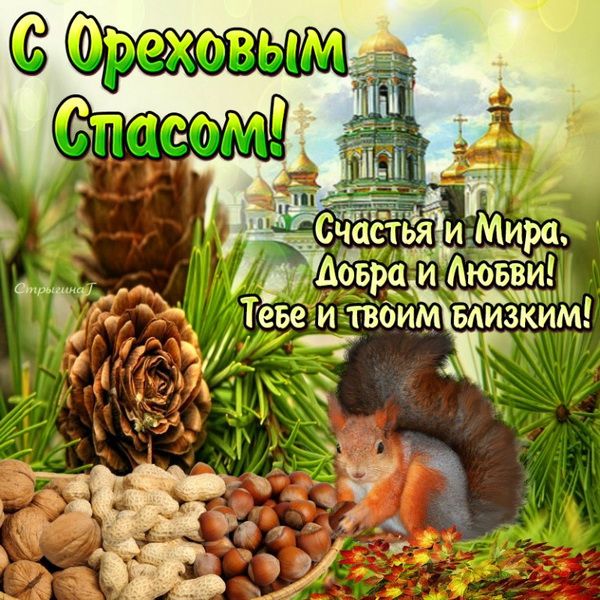 Аовра иАговви Тевём тізбим ЁЁЗЁИМ