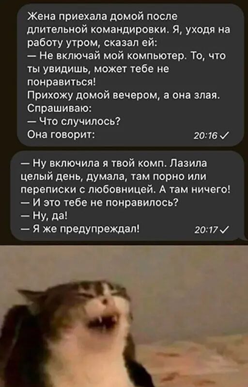 Жена приехала домой после длительной командировки Я уходя на работу утром сказал ей Не включай мой компьютер То что ты увидишь может тебе не понравиться Прихожу домой вечером а она знаю Спрашиваю Что случилось Она говорит 2013 и Ну включила я твой комп Лавина целый день думала там порно или переписки с любовницей А там ничего и это тебе не понравилось Ну да Я же предупреждал 2017