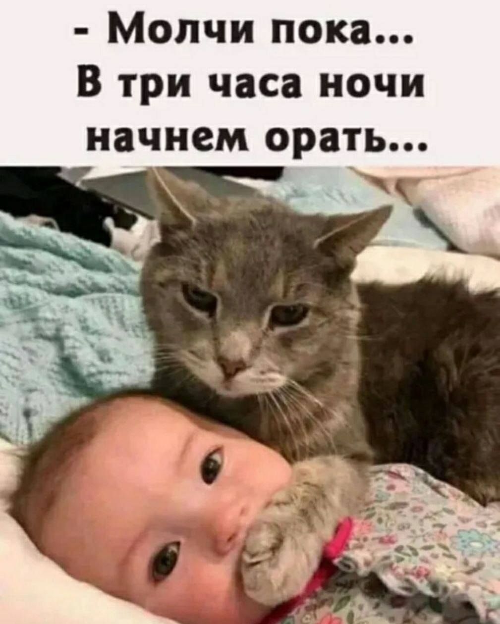 Молчи пока В три часа ночи начнем орать