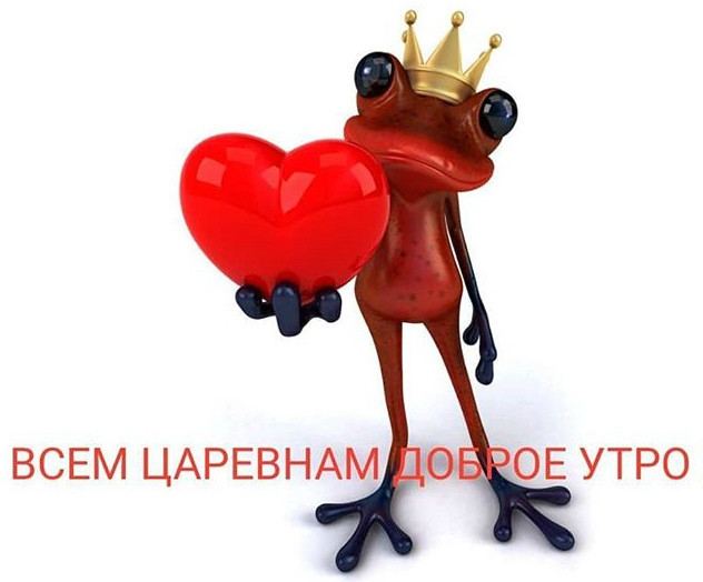 ВСЕМ ЦАРЕВНАМ ОЕ УТРО